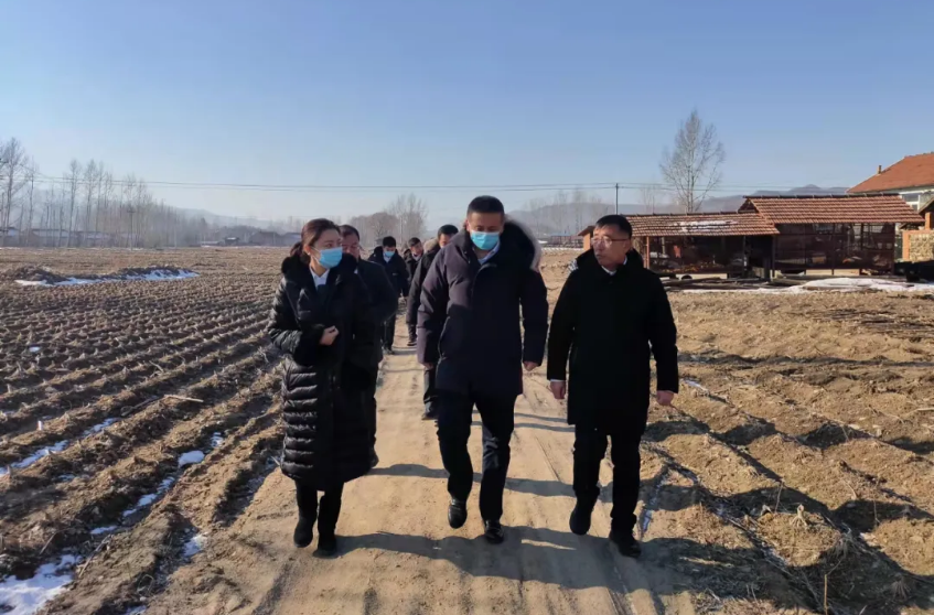 践行国企担当，助力乡村振兴--尊龙集团、温泉集团前往驻村工作队走访慰问