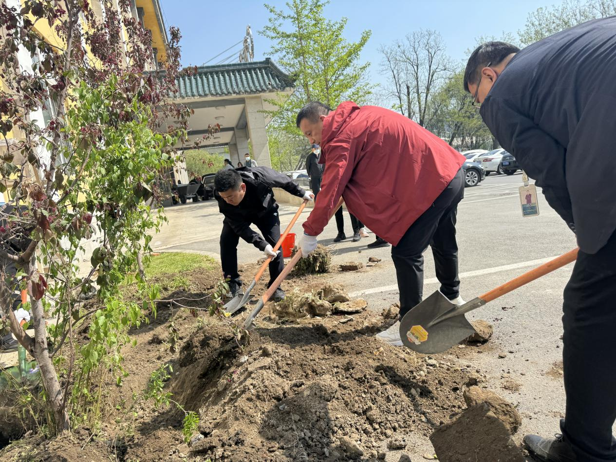 植树造林添新绿，共创秀美钢都景